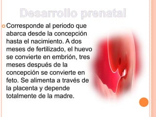 Corresponde al periodo que
abarca desde la concepción
hasta el nacimiento. A dos
meses de fertilizado, el huevo
se convierte en embrión, tres
meses después de la
concepción se convierte en
feto. Se alimenta a través de
la placenta y depende
totalmente de la madre.
 