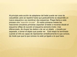 Al principio esta acción de adaptarse del bebé puede ser cosa de
casualidad, pero se repetirá hasta que gradualmente se desarrolla un
nuevo esquema o se coordinan dos esquemas. Piaget llama a este
proceso una “reacción circular” . En estos primeros meses las
reacciones circulares primarias capacitan al bebé a moverse desde el
esquema reflejo de succión al esquema sensorio-motor, mas
diferenciado, de chupar los dedos o de ver un objeto y tocarlo por
separado, a tomar el objeto que puede ver. Esta etapa ha terminado
cuando el niño es capaz de representar simbólicamente lo que conoce,
de modo que que lo que conoce no está ya ligado a lo que hace.
 