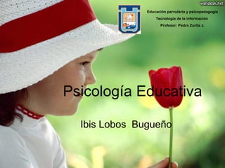 Psicología Educativa   Ibis Lobos  Bugueño Educación parvularia y psicopedagogía  Tecnología de la información  Profesor: Pedro Zurita J. 