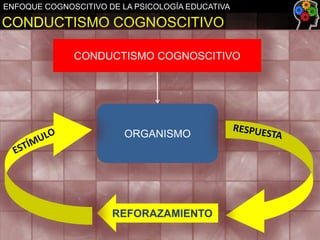 ENFOQUE COGNOSCITIVO DE LA PSICOLOGÍA EDUCATIVA

CONDUCTISMO COGNOSCITIVO
CONDUCTISMO COGNOSCITIVO

ORGANISMO

REFORAZAMIENTO

 