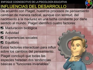 ENFOQUE COGNOSCITIVO DE LA PSICOLOGÍA EDUCATIVA

INFLUENCIAS DEL DESARROLLO
De acuerdo con Piaget, nuestros procesos de pensamiento
cambian de manera radical, aunque con lentitud, del
nacimiento a la madurez en una lucha constante por darle
sentido al mundo. Piaget identificó cuatro factores:
Maduración biológica
Actividad
Experiencias sociales
Equilibrio
Estos factores interactúan para influir
sobre los cambios del pensamiento.
Piaget concluyó que todas las
especies heredan dos tendencias
básicas o "funciones invariables”.

 