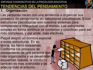 ENFOQUE COGNOSCITIVO DE LA PSICOLOGÍA EDUCATIVA

TENDENCIAS DEL PENSAMIENTO
1. Organización
Las personas nacen con una tendencia a organizar sus
procesos de pensamiento en estructuras psicológicas. Estas
estructuras psicológicas son nuestros sistemas para
comprender e interactuar con el mundo. Las estructuras
simples en forma continua se combinan y coordinan para ser
más complejas, y por ende, más efectivas.
Piaget asignó un nombre especial
a estas estructuras. En su
teoría, las llamó esquemas.
Conforme los procesos de
pensamiento de una persona son
más organizados y se desarrollan
esquemas nuevos, la conducta
también es más avanzada y se
adecúa más al entorno.

 