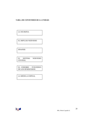 TABLA DE CONTENIDOS DE LA UNIDAD:

LA NEURONA

EL IMPULSO NERVIOSO

SINAPSIS

EL
SISTEMA
CENTRAL

NERVIOSO

EL CEREBRO – FUNCIONES
DE LOS HEMISFERIOS

LA MÉDULA ESPINAL

20
MSc. Moisés Logroño G.

 