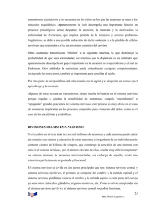 transmisores excitatorios y se encuentra en los sitios en los que las neuronas se unen a los
músculos esqueléticos. Aparentemente la Ach desempeña una importante función en
procesos psicológicos como despertar, la atención, la memoria y la motivación, la
enfermedad de Alzheimer, que implica pérdida de la memoria y severos problemas
lingüísticos, se debe a una posible reducción de dicha sustancia y a la pérdida de células
nerviosas que responden a ella, en porciones centrales del cerebro.
Otras sustancias transmisoras “inhiben” a la siguiente neurona, lo que disminuye la
probabilidad de que sean estimuladas; así tenemos que la dopamina es un inhibidor que
aparentemente desempeña un papel importante en la curación del esquizofrenia y el mal de
Parkinson. Otro inhibidor la serotonina anula virtualmente cualquier comportamiento,
incluyendo las emociones, también es importante para conciliar el sueño.
Por otra parte, la norepinefrina está relacionada con la vigilia y el despertar así como con el
aprendizaje y la memoria.
Algunas de estas sustancias transmisoras, tienen mucha influencia en el sistema nervioso
porque regulan o ajustan la sensibilidad de numerosas sinapsis “encendiendo” o
“apagando” grandes porciones del sistema nervioso, este proceso es muy obvio en el caso
de sustancias implicadas en los procesos corporales para reducción del dolor, como es el
caso de las encefalinas y endorfinas.

DIVISIONES DEL SISTEMA NERVIOSO
Si el cerebro en sí tiene más de cien mil millones de neuronas y cada neurona puede entrar
en contacto con cientos y aún miles de otras neuronas, el organismo de un individuo puede
contener cientos de billones de sinapsis, que constituye la conexión de una neurona con
otra en el sistema nervioso, por el número elevado de ellas, resulta muy difícil comprender
un sistema inmenso de neuronas interconectadas, sin embargo de aquello, existe una
estructura perfectamente organizada y funcional.
El sistema nervioso se divide en dos partes principales que son: sistema nervioso central y
sistema nervioso periférico, el primero se compone del cerebro y la médula espinal y el
sistema nervioso periférico conecta el cerebro y la médula espinal a cada parte del cuerpo
ya sean estos: músculos, glándulas, órganos sensitivos, etc. Como es obvio comprender sin
el sistema nervioso periférico el sistema nervioso central no podría funcionar.
25
MSc. Moisés Logroño G.

 