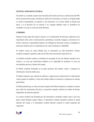 SISTEMA NERVIOSO CENTRAL
El cerebro es, sin duda, la parte más fascinante del sistema nervioso, contiene más del 90%
de las neuronas del cuerpo, constituye la sede de la conciencia y la razón, es el lugar donde
se centra el aprendizaje, la memoria y las emociones, es el sector donde se decide qué
hacer y si la decisión fue la correcta o no, imagina también cómo se modifican los
resultados si es que se actúa de modo diferente.
CEREBRO
Ocupa la mayor parte del espacio craneal y es el responsable de funciones superiores muy
importantes tales como: el pensamiento, aprendizaje, recuerdo, lenguaje, conciencia de si
mismo, iniciativa y capacidad de planear, sin embargo las funciones exactas y completas se
desconoce todavía, pero su importancia en la vida ser humano es indudable.
El cerebro consta de cuatro lóbulos que se encuentran en cada hemisferio: frontal,
occipital, temporal y parietal, cada uno de ellos tiene una función específica así:
Los lóbulos frontales reciben y coordinan los mensajes de los tres lóbulos restantes de la
corteza y se cree que intervienen también en la capacidad de mantener el curso de
movimientos previos y futuros del cuerpo.
El lóbulo occipital localizado en la parte posterior del cerebro, recibe e interpreta la
información visual de ambos ojos.
El lóbulo temporal, que controla la audición y algún proceso adicional de la información
visual, puede ser también, el área del cerebro donde la memoria se almacena de manera
permanente.
El lóbulo parietal que se sitúa en la parte superior del lóbulo temporal y occipital, el mismo
que recibe las sensaciones del tacto y la posición corporal, informa al cerebro de hechos
importantes de atención especial.
La corteza cerebral está formada por dos hemisferios cerebrales unidos entre sí por una
parte central llamada cuerpo calloso, el hemisferio cerebral izquierdo controla la mitad
derecha del cuerpo y el hemisferio cerebral derecho controla la mitad izquierda del
organismo.

26
MSc. Moisés Logroño G.

 