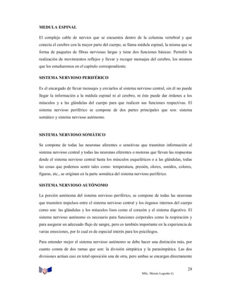 MEDULA ESPINAL
El complejo cable de nervios que se encuentra dentro de la columna vertebral y que
conecta el cerebro con la mayor parte del cuerpo, se llama médula espinal, la misma que se
forma de paquetes de fibras nerviosas largas y tiene dos funciones básicas: Permitir la
realización de movimientos reflejos y llevar y recoger mensajes del cerebro, los mismos
que los estudiaremos en el capítulo correspondiente.
SISTEMA NERVIOSO PERIFÉRICO
Es el encargado de llevar mensajes y enviarlos al sistema nervioso central, sin él no puede
llegar la información a la médula espinal ni al cerebro, ni éste puede dar órdenes a los
músculos y a las glándulas del cuerpo para que realicen sus funciones respectivas. El
sistema nervioso periférico se compone de dos partes principales que son: sistema
somático y sistema nervioso autónomo.

SISTEMA NERVIOSO SOMÁTICO
Se compone de todas las neuronas aferentes o sensitivas que trasmiten información al
sistema nervioso central y todas las neuronas eferentes o motoras que llevan las respuestas
desde el sistema nervioso central hasta los músculos esqueléticos o a las glándulas, todas
las cosas que podemos sentir tales como: temperatura, presión, olores, sonidos, colores,
figuras, etc., se originan en la parte somática del sistema nervioso periférico.
SISTEMA NERVIOSO AUTÓNOMO
La porción autónoma del sistema nervioso periférico, se compone de todas las neuronas
que trasmiten impulsos entre el sistema nervioso central y los órganos internos del cuerpo
como son: las glándulas y los músculos lisos como el corazón y el sistema digestivo. El
sistema nervioso autónomo es necesario para funciones corporales como la respiración y
para asegurar un adecuado flujo de sangre, pero es también importante en la experiencia de
varias emociones, por lo cual es de especial interés para los psicólogos.
Para entender mejor el sistema nervioso autónomo se debe hacer una distinción más, por
cuanto consta de dos ramas que son: la división simpática y la parasimpática. Las dos
divisiones actúan casi en total oposición una de otra, pero ambas se encargan directamente
28
MSc. Moisés Logroño G.

 