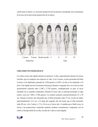 cuello hasta el pubis). La creciente proporción de las piernas corresponde casi exactamente
al inverso de la decreciente proporción de la cabeza.

2 meses

5 meses

Recién nacido

Edad fetal

2

6

12

25

Años

CRECIMIENTO FISIOLÓGICO
Los niños crecen más rápido durante los primeros 3 años, especialmente durante los meses
iniciales, que en cualquier otra etapa de su vida. A los 5 meses, el peso promedio del bebé
al nacer se ha duplicado, pasando de 3.450 gramos a 6.850 y al año se ha triplicado a 10
kilos. Esta rápida tasa de crecimiento disminuye durante el segundo año, en el cual un niño
generalmente aumenta entre 2.300 y 2.750 gramos, cuadruplicando su peso al nacer
alrededor de su segundo cumpleaños. Durante el tercer año, el aumento promedio es algo
menor, cerca de 1.800 a 2.300 gramos. La estatura aumenta característicamente 25 a 30
cm. durante el primer año (haciendo que el bebé promedio mida 75 cm. al año de edad);
aproximadamente 12,5 cm. a lo largo del segundo año (de modo que el niño promedio
mide 90 cm. a los 2 años); y 7,5 a 10 cm en el tercer año. A medida que el bebé crece, la
forma y las proporciones corporales también cambian; normalmente, comparado con un
rollizo y barrigón bebé de un año, un niño de 3 años es más delgado.

38
MSc. Moisés Logroño G.

 