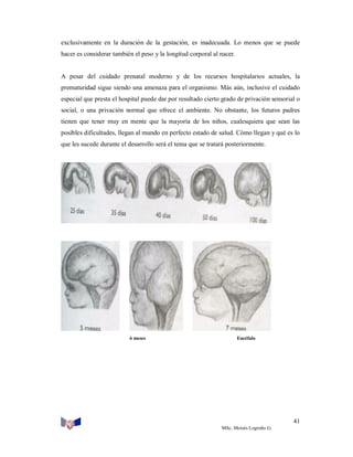 exclusivamente en la duración de la gestación, es inadecuada. Lo menos que se puede
hacer es considerar también el peso y la longitud corporal al nacer.

A pesar del cuidado prenatal moderno y de los recursos hospitalarios actuales, la
prematuridad sigue siendo una amenaza para el organismo. Más aún, inclusive el cuidado
especial que presta el hospital puede dar por resultado cierto grado de privación sensorial o
social, o una privación normal que ofrece el ambiente. No obstante, los futuros padres
tienen que tener muy en mente que la mayoría de los niños, cualesquiera que sean las
posibles dificultades, llegan al mundo en perfecto estado de salud. Cómo llegan y qué es lo
que les sucede durante el desarrollo será el tema que se tratará posteriormente.

6 meses

Encéfalo

41
MSc. Moisés Logroño G.

 
