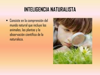 INTELIGENCIA NATURALISTA
 Consiste en la comprensión del
  mundo natural que incluye los
  animales, las plantas y la
  observación científica de la
  naturaleza.
 