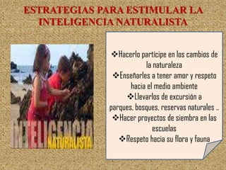 ESTRATEGIAS PARA ESTIMULAR LA
  INTELIGENCIA NATURALISTA


             Hacerlo partícipe en los cambios de
                         la naturaleza
              Enseñarles a tener amor y respeto
                    hacia el medio ambiente
                  Llevarlos de excursión a
             parques, bosques, reservas naturales ..
              Hacer proyectos de siembra en las
                            escuelas
                Respeto hacia su flora y fauna
 