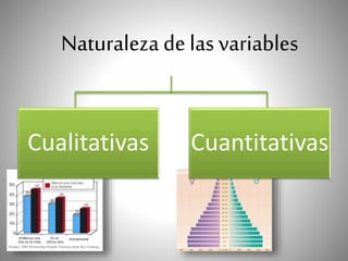 Cualitativas Cuantitativas
Naturaleza de las variables
 