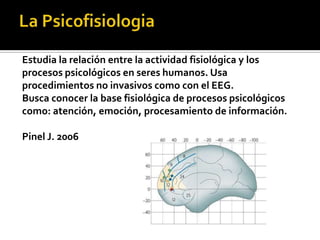 Estudia la relación entre la actividad fisiológica y los
procesos psicológicos en seres humanos. Usa
procedimientos no invasivos como con el EEG.
Busca conocer la base fisiológica de procesos psicológicos
como: atención, emoción, procesamiento de información.
Pinel J. 2006
 
