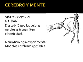 SIGLOS XVIY XVIII
GALVANI
Descubrió que las células
nerviosas transmiten
electricidad.
Neurofisiologia experimental
Modelos cerebrales posibles
 