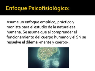 Asume un enfoque empírico, práctico y
monista para el estudio de la naturaleza
humana. Se asume que al comprender el
funcionamiento del cuerpo humano y el SN se
resuelve el dilema -mente y cuerpo-.
 