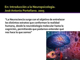 “La Neurociencia surge con el objetivo de entrelazar
los distintos estratos que conforman la realidad
humana, desde la neurobiología molecular hasta la
cognición, permitiendo que podamos entender qué
nos hace lo que somos”
 