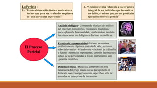 2.- “Opinión técnica referente a la estructura
integral de un individuo que incurrió en
un delito, el mismo que por su particular
ejecución motivo la pericia”
La Pericia :
1.- “Es una elaboración técnica, motivada en
hechos que para ser evaluados requieren
de una particular experiencia”
Análisis biológico.- Comprende técnicas de análisis
del encéfalo, tomografías, resonancia magnética,
que exploren la funcionalidad, verificándose también
las alteraciones morfológicas e Incluso metabólicas.
Estudio de la personalidad.-Se basa en analizar
profundamente el primer período de vida, por tanto,
sobre relevancias del ambiente relacional de la familia
y figuras parentales importantes, también la estructura
actual de su personalidad a través instrumentos con
garantía científica
Dinámica Social.- Busca ala comprensión de la
naturaleza del grupo macro social para ponerlo en
Relación con el comportamiento específico, a fin de
entender su percepción de las normas
El Proceso
Pericial
 