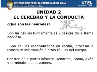 UNIDAD 2
   EL CEREBRO Y LA CONDUCTA
¿Que son las neuronas?

Son las células fundamentales y básicas del sistema
nervioso.

  Son células especializadas en recibir, procesar o
transmitir información a otras células del cuerpo.

Constan de 4 partes básicas: Dendritas, Soma, Axón
y terminales de los axones.
 