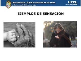 EJEMPLOS DE SENSACIÓN
 
