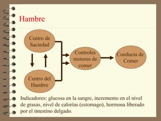 Hambre

   Centro de
   Saciedad
                        Controles           Conducta de
                        motores de            Comer
                         comer

   Centro del
    Hambre

Indicadores: glucosa en la sangre, incremento en el nivel
de grasas, nivel de calorías (estomago), hormona liberado
por el intestino delgado.
 