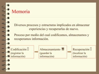 Memoria

  Diversos procesos y estructuras implicados en almacenar
             experiencias y recuperarlas de nuevo.
  Proceso por medio del cual codificamos, almacenamos y
  recuperamos información.


Codificación       Almacenamiento         Recuperación 
(registrar la       (guardar la             (localizar la
información)        información)            información)
 
