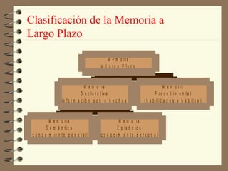 Clasificación de la Memoria a
Largo Plazo

                                                M e m o r ia
                                             a L a r g o P la z o


                                   M e m o r ia                                        M e m o r ia
                                 D e c la r a t iv a                             P r o c e d im e n t a l
                   ( in fo r m a c ió n s o b r e h e c h o s )           ( h a b ilid a d e s y h á b it o s )


             M e m o r ia                                 M e m o r ia
           S e m á n t ic a                              E p is ó d ic a
( c o n o c im ie n t o g e n e r a l)      ( c o n o c im ie n t o p e r s o n a l)
 