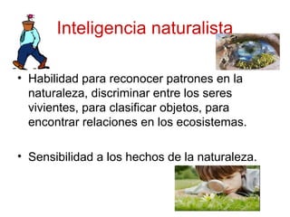 Inteligencia naturalista
• Habilidad para reconocer patrones en la
naturaleza, discriminar entre los seres
vivientes, para clasificar objetos, para
encontrar relaciones en los ecosistemas.
• Sensibilidad a los hechos de la naturaleza.
 