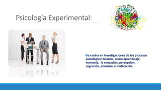 Psicología Experimental:
Se centra en investigaciones de los procesos
psicológicos básicos, como aprendizaje,
memoria, la sensación, percepción,
cognición, emoción y motivación.
 