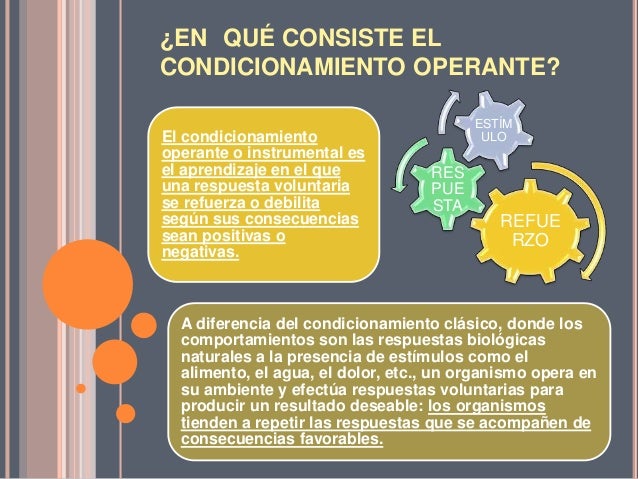 Psicología skinner