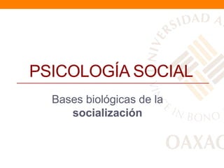 PSICOLOGÍA SOCIAL
  Bases biológicas de la
     socialización
 
