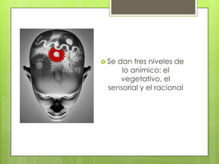  Se

dan tres niveles de
lo anímico: el
vegetativo, el
sensorial y el racional

 