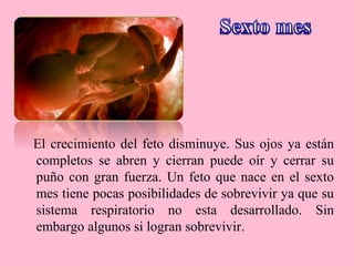 Psicologia 110407225240-phpapp01