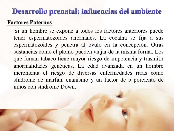 embarazo y desarrollo pre natal