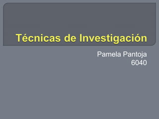 Técnicas de Investigación Pamela Pantoja  6040  