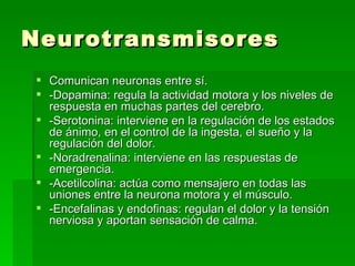Neurotransmisores Comunican neuronas entre sí. -Dopamina: regula la actividad motora y los niveles de respuesta en muchas partes del cerebro. -Serotonina: interviene en la regulación de los estados de ánimo, en el control de la ingesta, el sueño y la regulación del dolor. -Noradrenalina: interviene en las respuestas de emergencia. -Acetilcolina: actúa como mensajero en todas las uniones entre la neurona motora y el músculo. -Encefalinas y endofinas: regulan el dolor y la tensión nerviosa y aportan sensación de calma. 