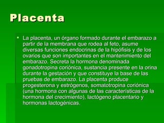 Placenta La placenta, un órgano formado durante el embarazo a partir de la membrana que rodea al feto, asume diversas funciones endocrinas de la hipófisis y de los ovarios que son importantes en el mantenimiento del embarazo. Secreta la hormona denominada gonadotropina coriónica, sustancia presente en la orina durante la gestación y que constituye la base de las pruebas de embarazo. La placenta produce progesterona y estrógenos, somatotropina coriónica (una hormona con algunas de las características de la hormona del crecimiento), lactógeno placentario y hormonas lactogénicas. 