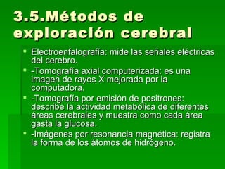 3.5.Métodos de exploración cerebral Electroenfalografía: mide las señales eléctricas del cerebro.  -Tomografía axial computerizada: es una imagen de rayos X mejorada por la computadora. -Tomografía por emisión de positrones: describe la actividad metabólica de diferentes áreas cerebrales y muestra como cada área gasta la glucosa. -Imágenes por resonancia magnética: registra la forma de los átomos de hidrógeno. 