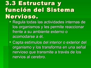 3.3 Estructura y función del Sistema Nervioso. Regula todas las actividades internas de los organismos y les permite reaccionar frente a su ambiente externo o acomodarse a él. Capta estímulos del interior o exterior del organismo y los transforma en una señal nervioso que transmite a través de los nervios al cerebro. 