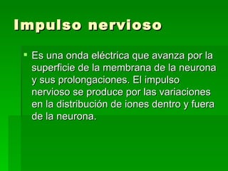 Impulso nervioso Es una onda eléctrica que avanza por la superficie de la membrana de la neurona y sus prolongaciones. El impulso nervioso se produce por las variaciones en la distribución de iones dentro y fuera de la neurona. 