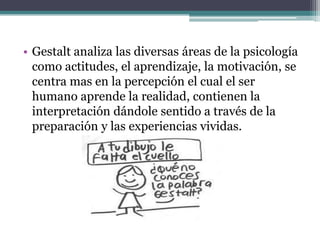 • Gestalt analiza las diversas áreas de la psicología
como actitudes, el aprendizaje, la motivación, se
centra mas en la percepción el cual el ser
humano aprende la realidad, contienen la
interpretación dándole sentido a través de la
preparación y las experiencias vividas.

 