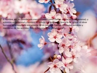 El hombre, así, es considerado esencialmente como cuerpo (como realidad extensa); y
entonces entre animal y hombre no habría más que una diferencia de grado; el obrar
humano sería resultado únicamente de un juego de fuerzas, estímulos sensibles y
reacciones de los sentidos. Ésta es la postura del [[empirismo]].

 