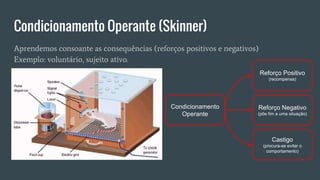 Condicionamento Operante (Skinner)
Aprendemos consoante as consequências (reforços positivos e negativos)
Exemplo: voluntário, sujeito ativo.
Condicionamento
Operante
Reforço Positivo
(recompensa)
Reforço Negativo
(põe fim a uma situação)
Castigo
(procura-se evitar o
comportamento)
 