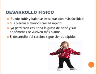 DESARROLLO FISICO
 Puede subir y bajar las escaleras con más facilidad
 Sus piernas y troncos crecen rápido.
 ya perdieron casi toda la grasa de bebé y sus
abdómenes se vuelven más planos.
 El desarrollo del cerebro sigue siendo rápido.
 