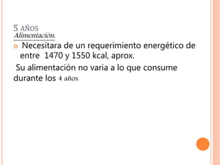 5 AÑOS
Alimentación:
 Necesitara de un requerimiento energético de
entre 1470 y 1550 kcal, aprox.
Su alimentación no varia a lo que consume
durante los 4 años.
 
