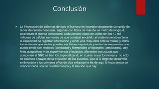 Conclusión
 La interacción de sistemas de todo el humano es impresionantemente complejo de
redes de células nerviosas, algunas con fibras de más de un metro de longitud,
atraviesan el cuerpo conectando cada porción lejana de tejido con los 10 mil
millones de células nerviosas de que consta el encéfalo, el sistema nervioso tiene
la capacidad de registrar información y emitir una respuesta ante la misma,y todos
los estímulos que recibe pueden ser físicos o químicos y todas las respuestas que
puede emitir son motoras (conducta) y hormonales o viscerales (emociones), con
fines adaptativos y de supervivencia y todas las diferentes estructuras que
componen el SNC se han ido especializando en cuanto a sus funciones y no sólo
ha ocurrido a través de la evolución de las especies, sino a lo largo del desarrollo
embrionario y los primeros años de vida extrauterina he de aquí la importancia de
conocer cada uno de nuestro cuerpo y la relación que hay
 