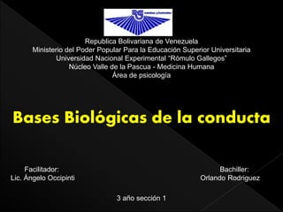 Republica Bolivariana de Venezuela
Ministerio del Poder Popular Para la Educación Superior Universitaria
Universidad Nacional Experimental “Rómulo Gallegos”
Núcleo Valle de la Pascua - Medicina Humana
Área de psicología
Facilitador: Bachiller:
Lic. Ángelo Occipinti Orlando Rodriguez
3 año sección 1
Bases Biológicas de la conducta
 