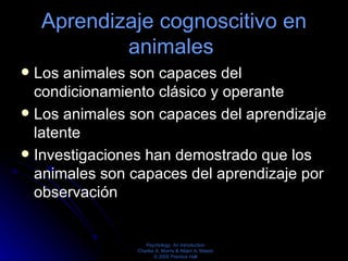 Aprendizaje cognoscitivo en animales  Los animales son capaces del condicionamiento clásico y operante  Los animales son capaces del aprendizaje latente  Investigaciones han demostrado que los animales son capaces del aprendizaje por observación  