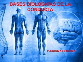 BASES BIOLÓGICAS DE LA
CONDUCTA
PSICOLOGIA Y BIOLOGIA
 