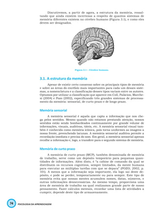 74 PSICOLOGIA DA APRENDIZAGEM
Discutiremos, a partir de agora, a estrutura da memória, ressal-
tando que ainda existem incertezas a respeito de quantos sistemas de
memória diferentes existem no cérebro humano (Figura 3.1), e como eles
devem ser designados.
Figura 3.1 – Cérebro humano.
3.1. A estrutura da memória
Apesar de existir certo consenso sobre os principais tipos de memória
e sobre as áreas do encéfalo mais importantes para cada um desses siste-
mas, a nomenclatura e a classificação desses tipos variam entre os autores.
Optamos por utilizar a classificação que aparece em Coll, Palácios, Marche-
si (2004) e Pozo (2002), especificando três grandes sistemas de processa-
mento da memória: sensorial, de curto prazo e de longo prazo.
Memória sensorial
A memória sensorial é aquela que capta a informação que nos che-
ga pelos sentidos. Mesmo quando não estamos prestando atenção, nossos
sentidos estão sendo bombardeados continuamente por grande volume de
informações, visuais, auditivas, táteis, etc. A memória sensorial visual tam-
bém é conhecida como memória icônica, pois torna uniformes as imagens a
nossa frente, preenchendo lacunas. A memória sensorial auditiva permite a
recordação imediata e precisa do som. Em geral, a memória sensorial apenas
recolhe a informação e, logo, a transfere para o segundo sistema de memória.
Memória de curto prazo
A memória de curto prazo (MCP), também denominada de memória
de trabalho, serve como um depósito temporário para pequenas quan-
tidades de informações. Além disto, é “a cabine de comando da qual se
distribuem os recursos cognitivos, sempre limitados, da mente humana
para executar as múltiplas tarefas com que se depara” (POZO, 2002, p.
101). A menos que a informação seja importante, ela logo sai deste de-
pósito, e pode se perder, temporariamente ou para sempre. Este tipo de
memória evita que nossas mentes acumulem nomes, datas, números, e
outras informações desnecessárias. Ao mesmo tempo, proporciona uma
área de memória de trabalho na qual realizamos grande parte de nosso
pensamento. Fazer cálculos mentais, recordar uma lista de atividades a
cumprir, depende deste tipo de armazenamento.
 