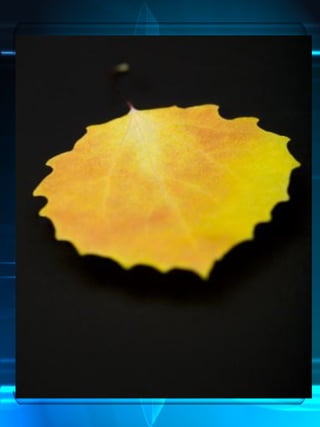 Psicologia del-color-3066