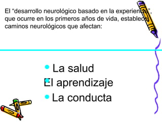 La salud
El aprendizaje
La conducta
El “desarrollo neurológico basado en la experiencia”,
que ocurre en los primeros años de vida, establece
caminos neurológicos que afectan:
 